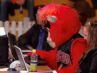 Benny the Bull achter m'n laptop